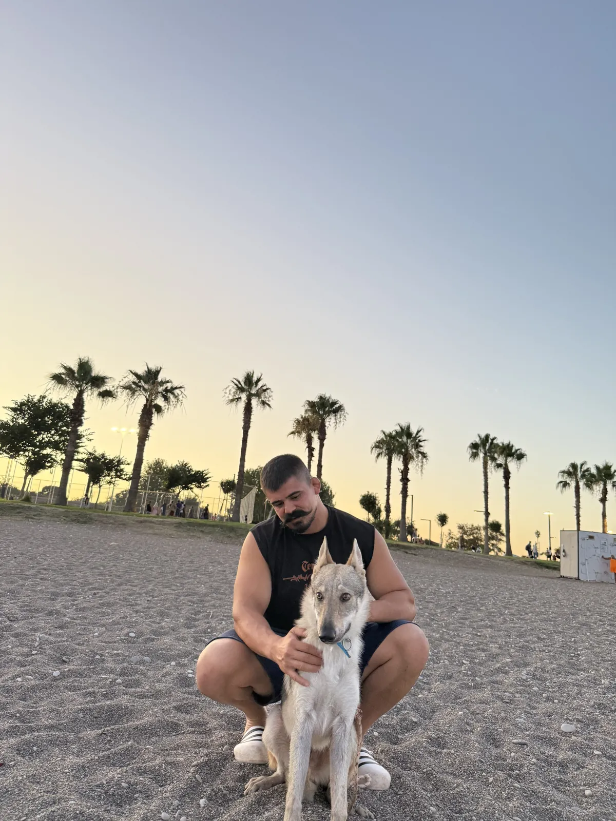 Sahilde köpeğiyle